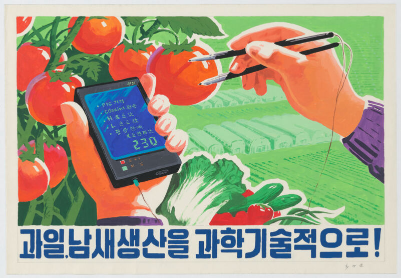 Two hands hold a machine used to electronically assess the quality of red tomatoes growing on a vine